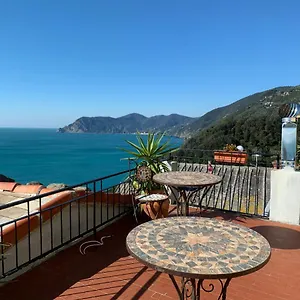 Dreams , Corniglia Italie